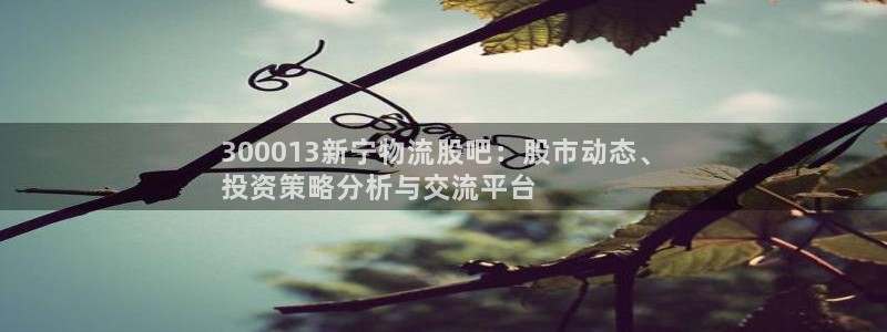 28圈注册网址：300013新宁物流股吧：股市动态、
投资策