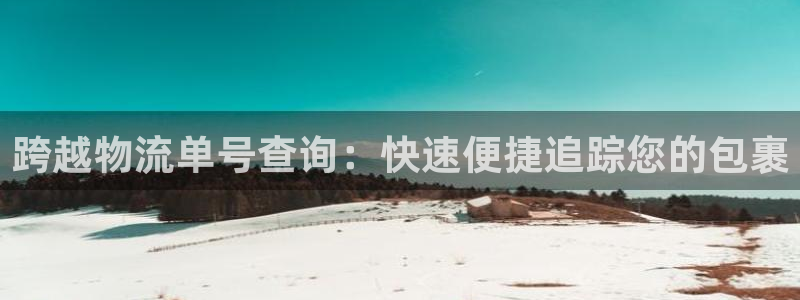 28圈ip被限制怎么解决：跨越物流单号查询：快速便捷追踪您的