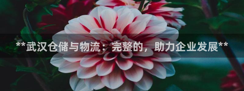28圈和南宫28什么关系：**武汉仓