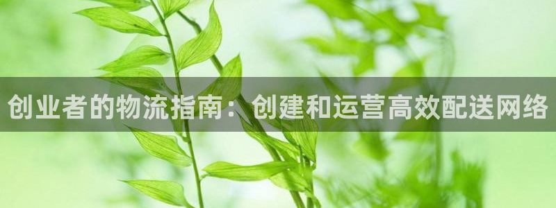 28圈网站平台：创业者的物流指南：创