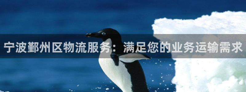 加拿大28圈是什么：宁波鄞州区物流服