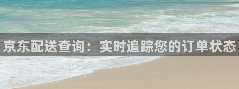 28圈黑平台吗：京东配送查询：实时追