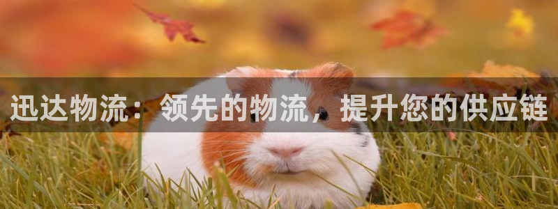 加拿大28圈注册链接：迅达物流：领先