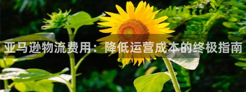 28圈h5链接：亚马逊物流费用：降低
