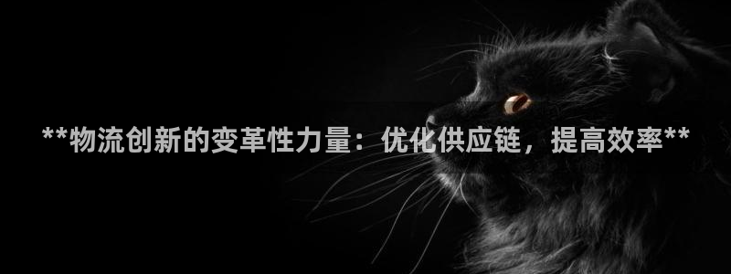 28圈p扣除是什么意思：**物流创新