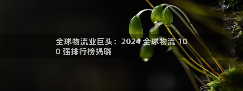 28圈官网平台下载：全球物流业巨头：