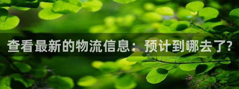 28圈ccm游戏