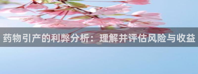 28圈下载不了