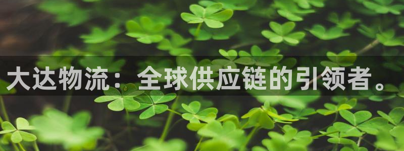 28圈官方平台