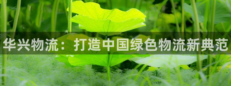 28圈注册网站链接是什么