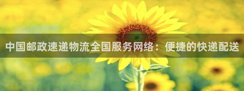 28圈p扣款什么意思