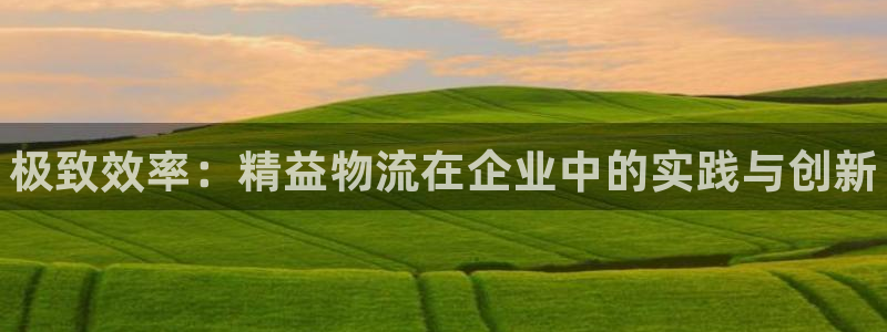 28圈注册上限是啥意思:极致效率:精