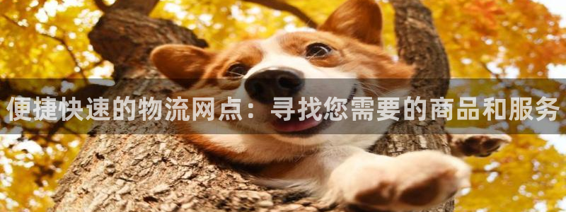 28圈稳吗：便捷快速的物流网点：寻找