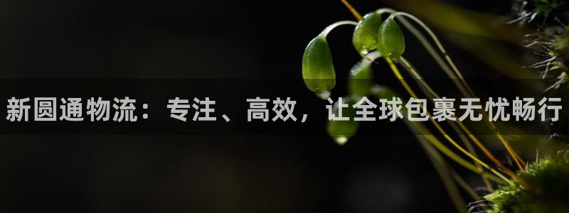 28圈如何退款:新圆通物流:专注、高