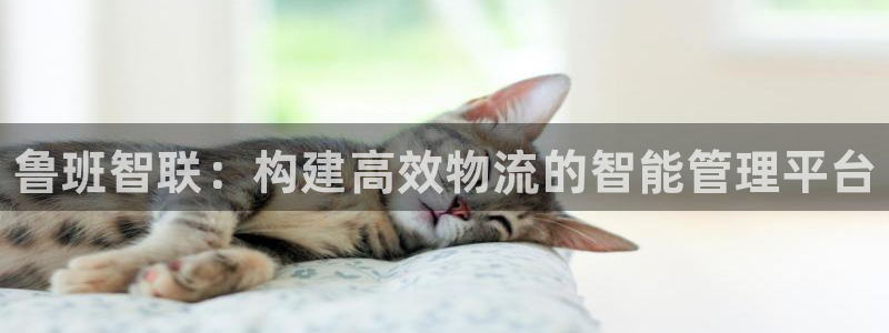 28圈比特28预测在线预测：鲁班智联