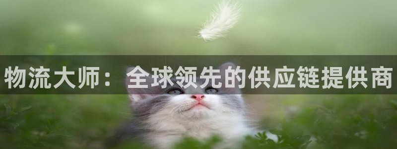 28圈下载二维码怎么弄：物流大师：全球领先的供应链提供商