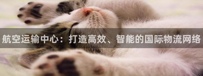 28圈推广链接是多少粉丝:航空运输中