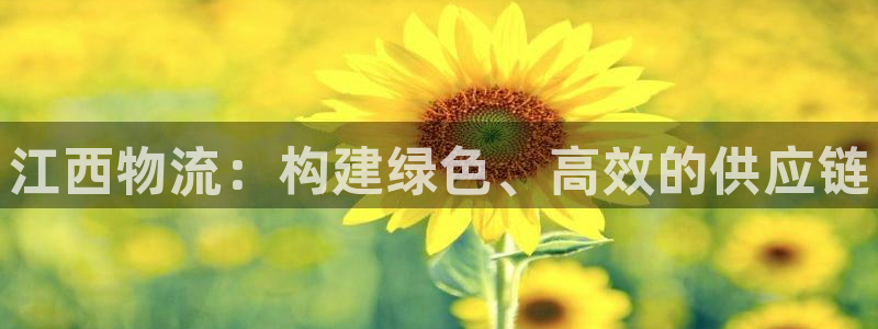 加拿大28圈是什么:江西物流:构建绿