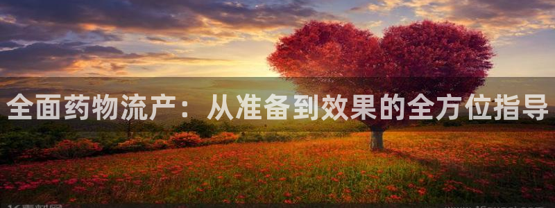 28圈注册网站链接是什么：全面药物流产：从准备到效果的全方位