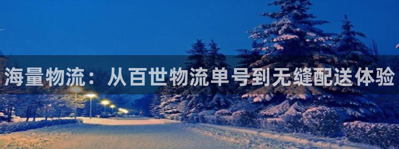 28圈加拿大28：海量物流：从百世物流单号到无缝配送体验