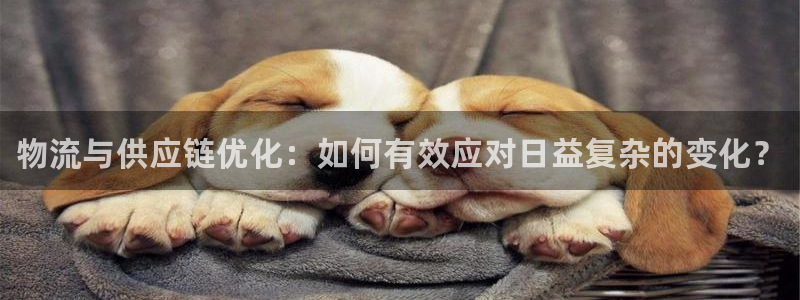 28圈提现不到账:物流与供应链优化: