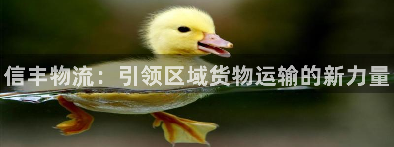 28圈充值不到账怎么办：信丰物流：引