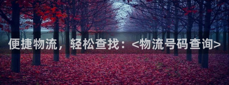 28圈绿骨头:便捷物流,轻松查找:<