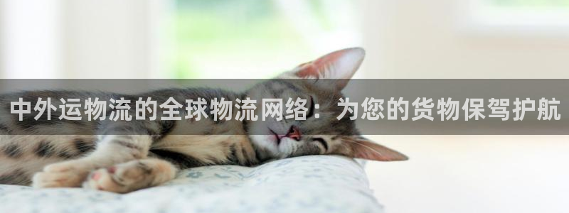 28圈注册链接：中外运物流的全球物流