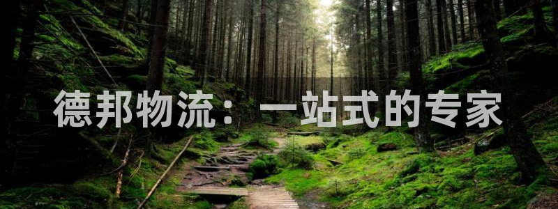 28圈官方:德邦物流:一站式的专家