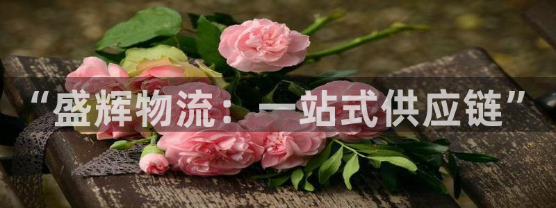 28圈登录流程：“盛辉物流：一站式供