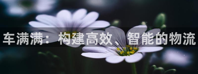 28圈官方网站：车满满：构建高效、智