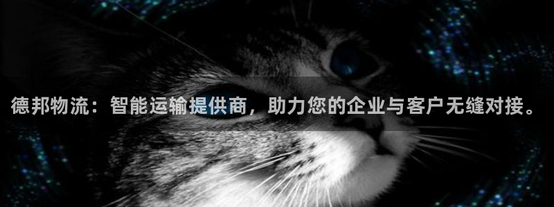 28圈下载二维码：德邦物流：智能运输