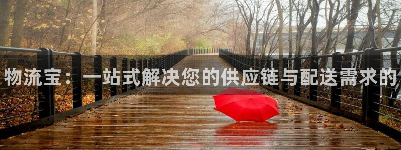 28圈推广链接是多少粉丝：物流宝：一