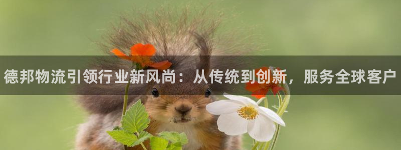 28圈不给提现：德邦物流引领行业新风