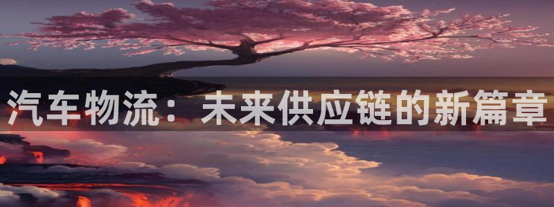 28圈推广链接是多少：汽车物流：未来