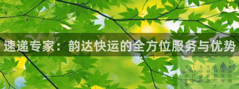28圈注册入口与教程：速递专家：韵达