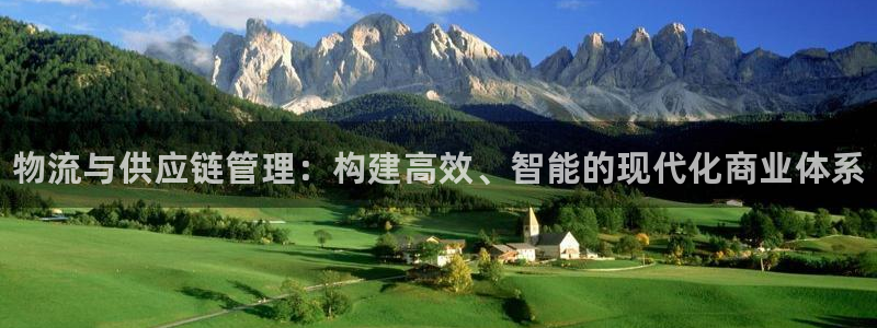 28圈最稳打法：物流与供应链管理：构