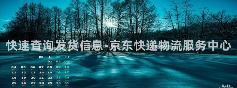 28圈游戏官网平台：快速查询发货信息