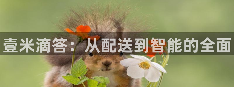 28圈官方网站：壹米滴答：从配送到智