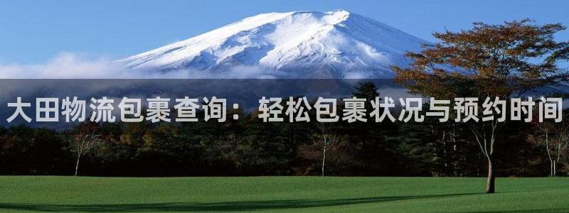 28圈大舞台：大田物流包裹查询：轻松