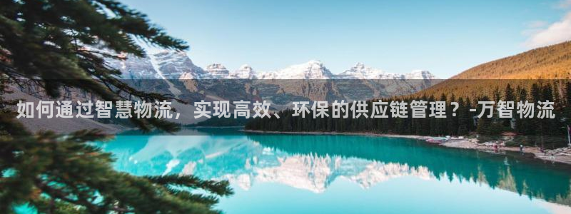 28圈cn：如何通过智慧物流，实现高