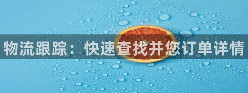 28圈能退款吗：物流跟踪：快速查找并